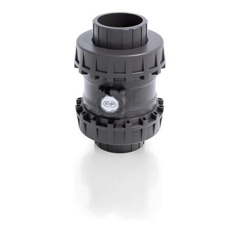 Render della valvola di ritegno bighiera Easyfit a molla SSEIV - DN 65:100