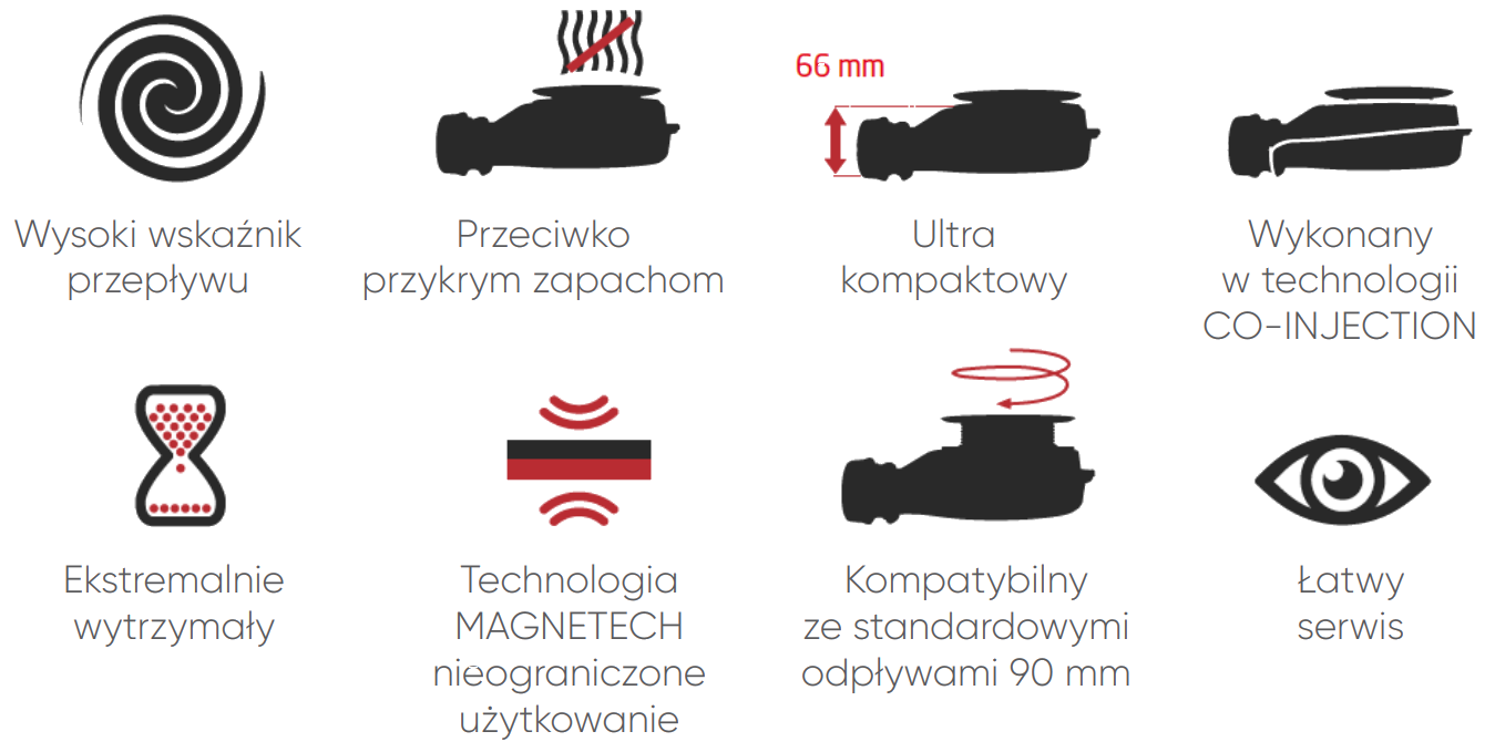 cechy syfonu brodzikowego